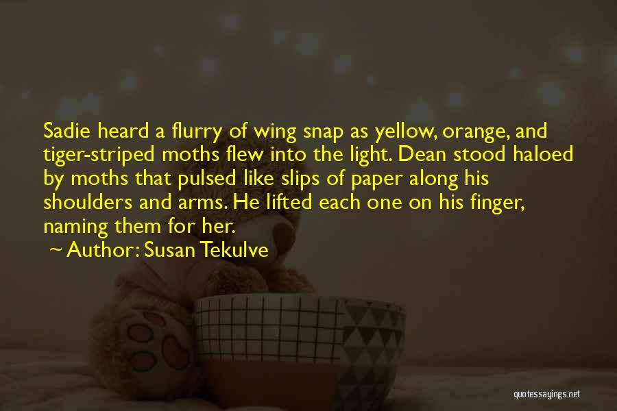Susan Tekulve Quotes: Sadie Heard A Flurry Of Wing Snap As Yellow, Orange, And Tiger-striped Moths Flew Into The Light. Dean Stood Haloed