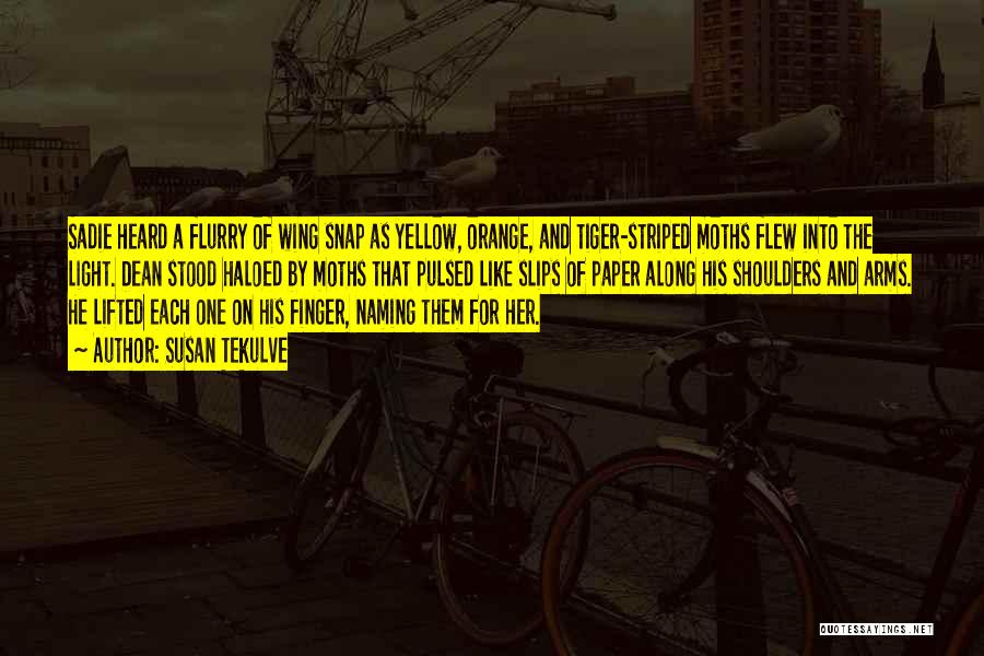 Susan Tekulve Quotes: Sadie Heard A Flurry Of Wing Snap As Yellow, Orange, And Tiger-striped Moths Flew Into The Light. Dean Stood Haloed