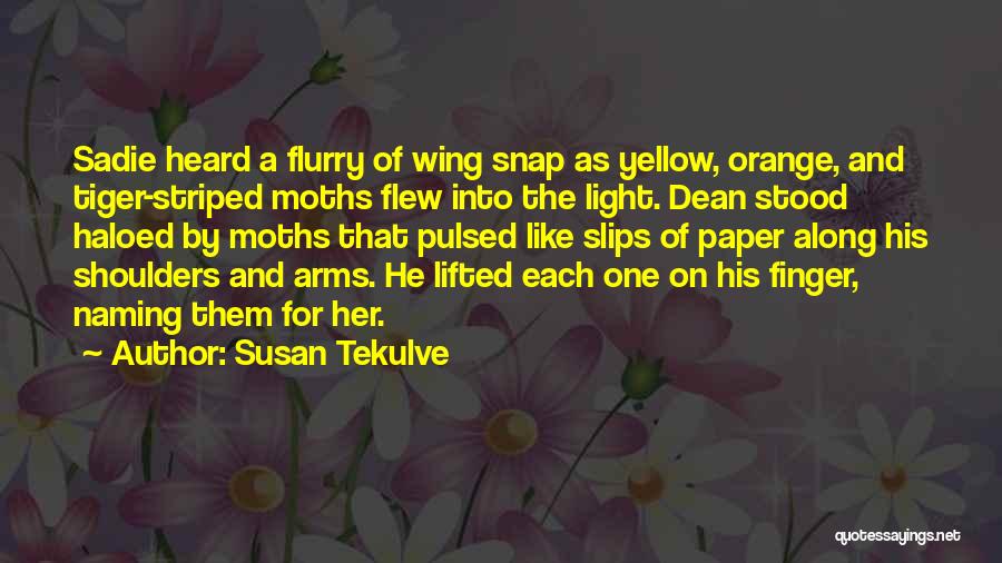 Susan Tekulve Quotes: Sadie Heard A Flurry Of Wing Snap As Yellow, Orange, And Tiger-striped Moths Flew Into The Light. Dean Stood Haloed