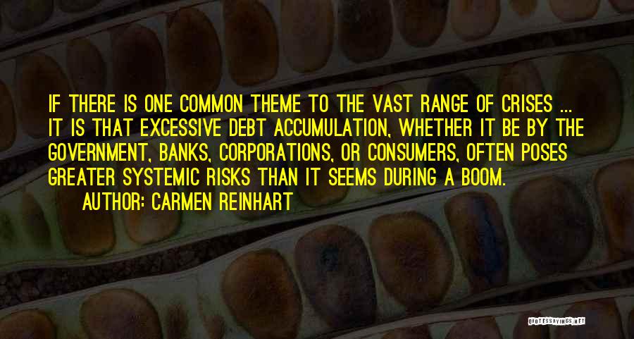 Carmen Reinhart Quotes: If There Is One Common Theme To The Vast Range Of Crises ... It Is That Excessive Debt Accumulation, Whether
