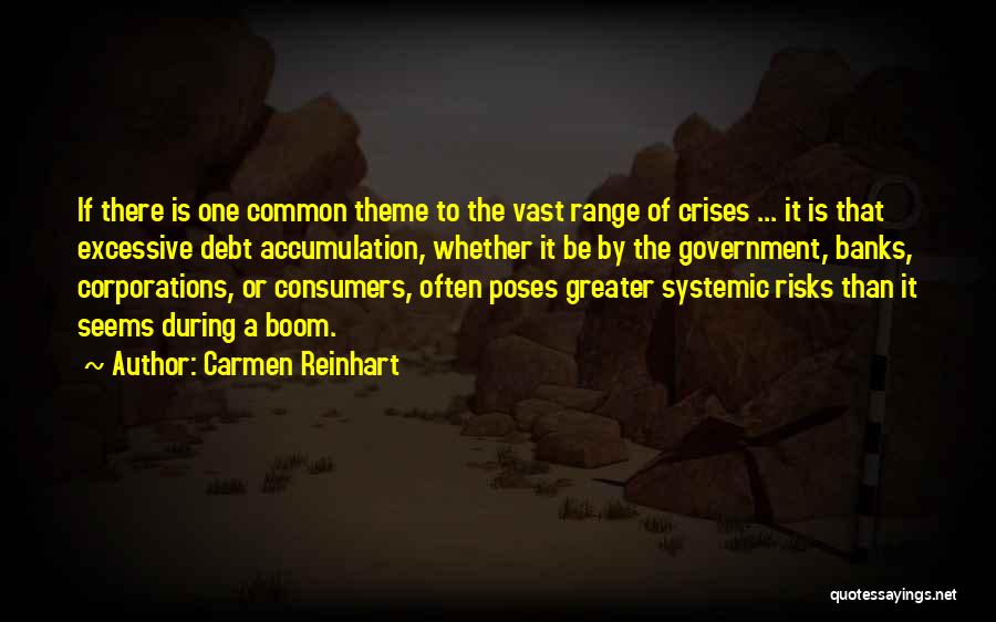 Carmen Reinhart Quotes: If There Is One Common Theme To The Vast Range Of Crises ... It Is That Excessive Debt Accumulation, Whether