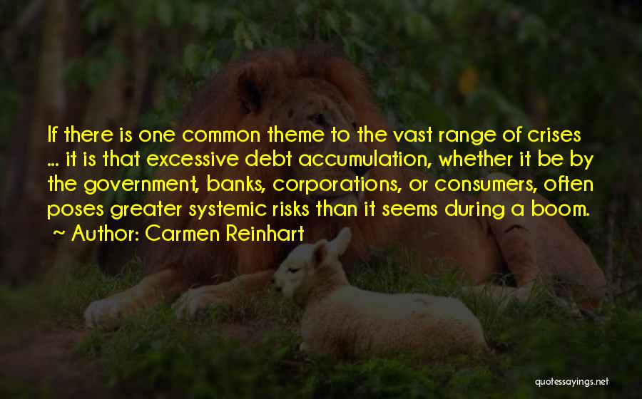Carmen Reinhart Quotes: If There Is One Common Theme To The Vast Range Of Crises ... It Is That Excessive Debt Accumulation, Whether