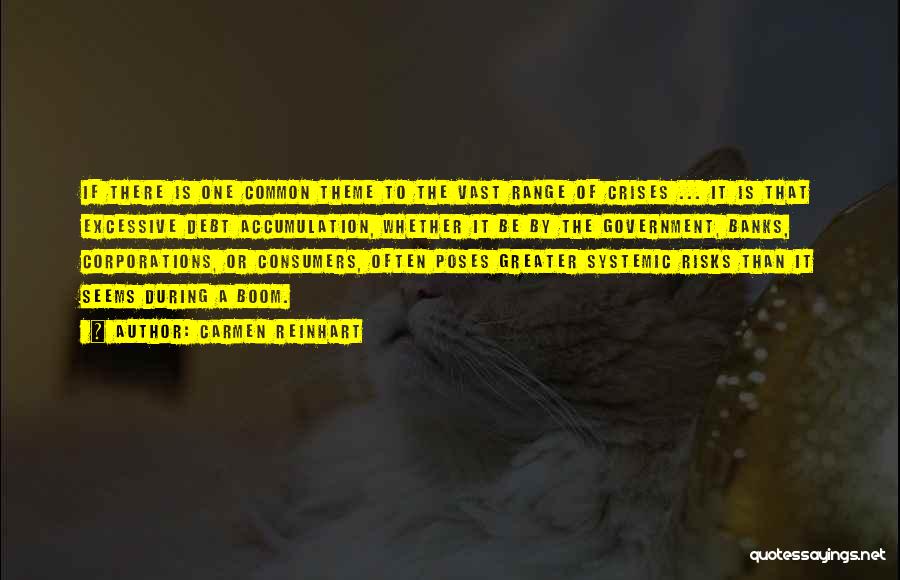 Carmen Reinhart Quotes: If There Is One Common Theme To The Vast Range Of Crises ... It Is That Excessive Debt Accumulation, Whether