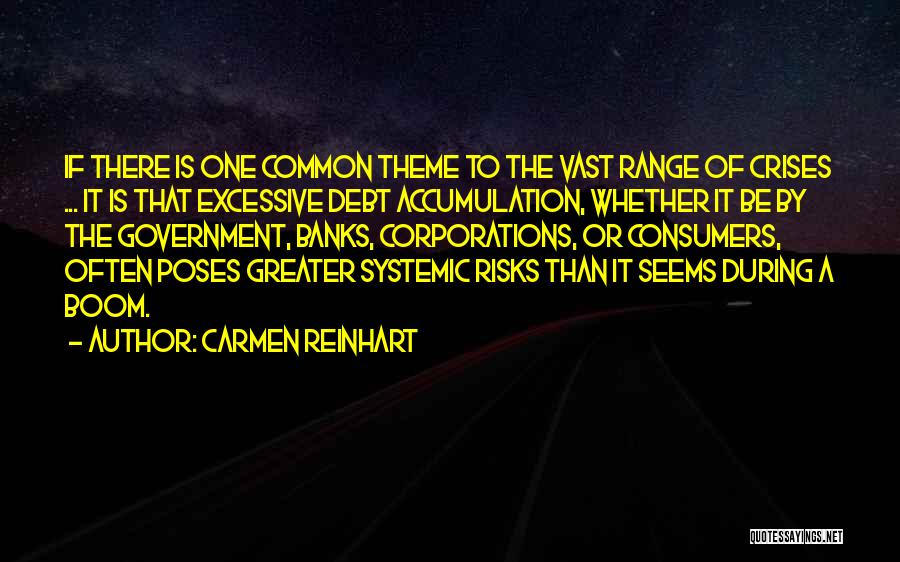 Carmen Reinhart Quotes: If There Is One Common Theme To The Vast Range Of Crises ... It Is That Excessive Debt Accumulation, Whether