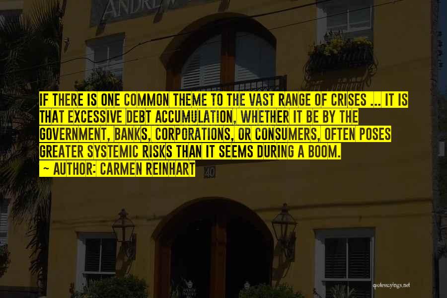 Carmen Reinhart Quotes: If There Is One Common Theme To The Vast Range Of Crises ... It Is That Excessive Debt Accumulation, Whether