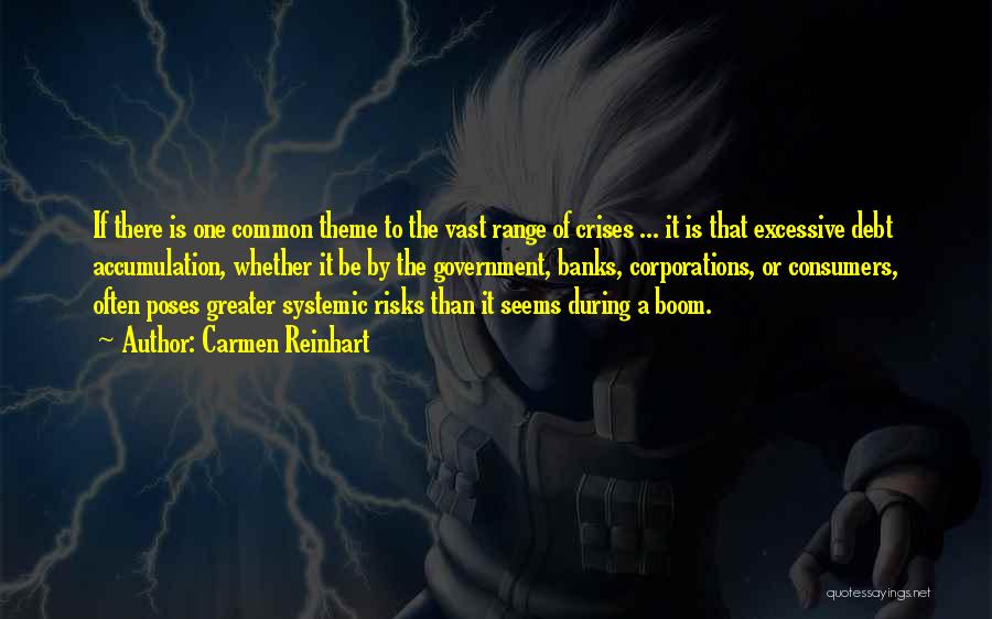 Carmen Reinhart Quotes: If There Is One Common Theme To The Vast Range Of Crises ... It Is That Excessive Debt Accumulation, Whether
