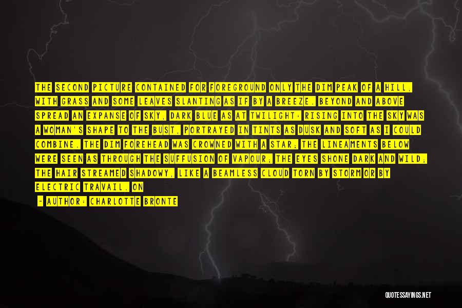 Charlotte Bronte Quotes: The Second Picture Contained For Foreground Only The Dim Peak Of A Hill, With Grass And Some Leaves Slanting As