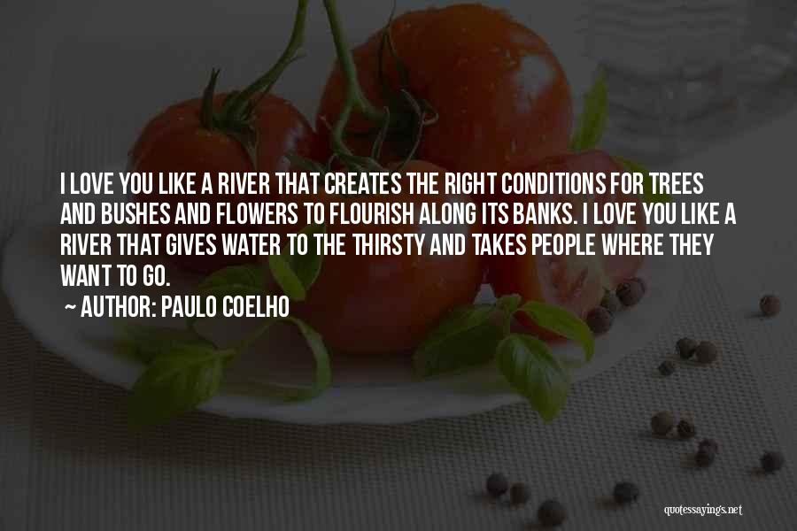 Paulo Coelho Quotes: I Love You Like A River That Creates The Right Conditions For Trees And Bushes And Flowers To Flourish Along