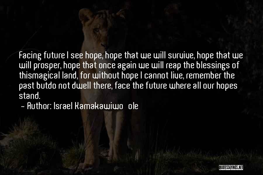 Israel Kamakawiwo'ole Quotes: Facing Future I See Hope, Hope That We Will Survive, Hope That We Will Prosper, Hope That Once Again We