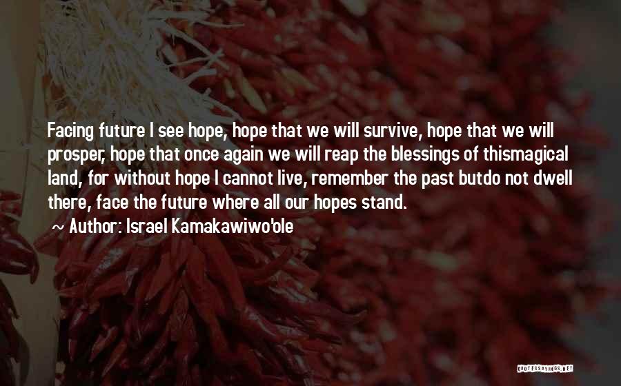 Israel Kamakawiwo'ole Quotes: Facing Future I See Hope, Hope That We Will Survive, Hope That We Will Prosper, Hope That Once Again We