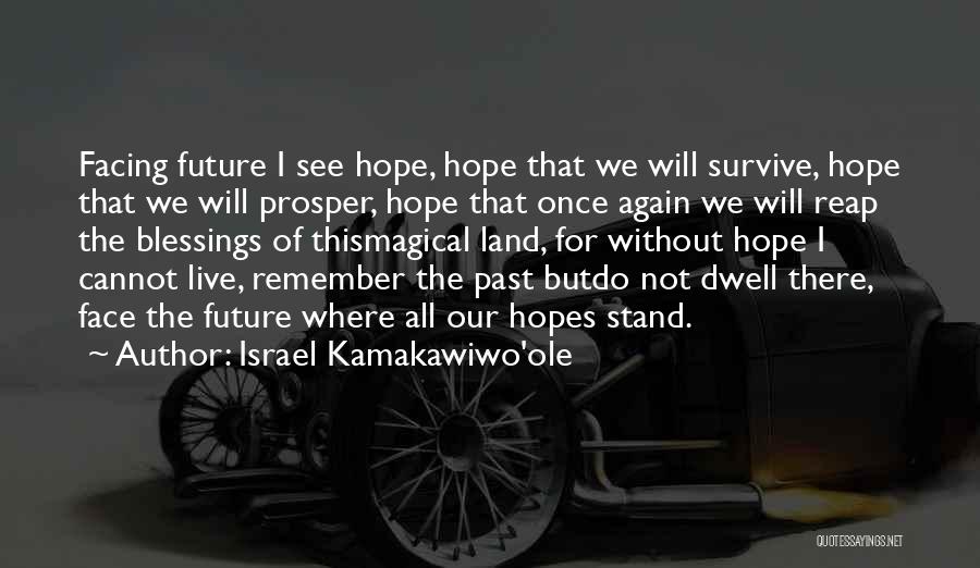 Israel Kamakawiwo'ole Quotes: Facing Future I See Hope, Hope That We Will Survive, Hope That We Will Prosper, Hope That Once Again We