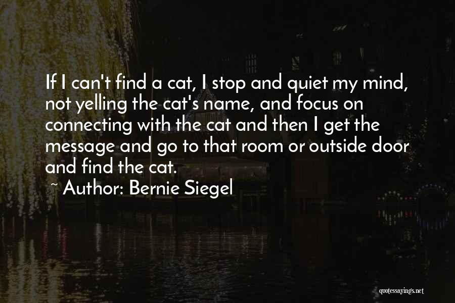 Bernie Siegel Quotes: If I Can't Find A Cat, I Stop And Quiet My Mind, Not Yelling The Cat's Name, And Focus On