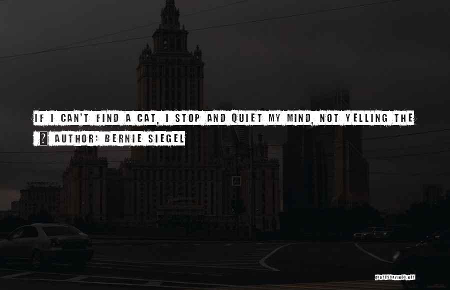 Bernie Siegel Quotes: If I Can't Find A Cat, I Stop And Quiet My Mind, Not Yelling The Cat's Name, And Focus On