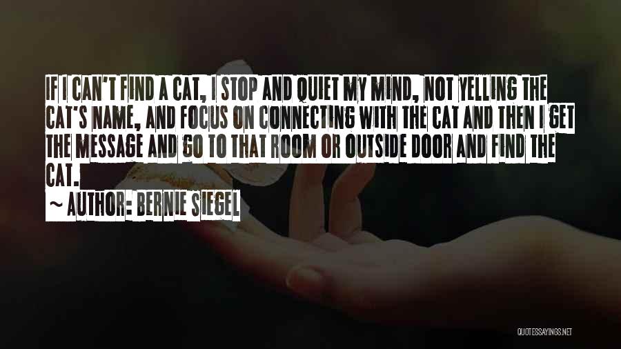 Bernie Siegel Quotes: If I Can't Find A Cat, I Stop And Quiet My Mind, Not Yelling The Cat's Name, And Focus On