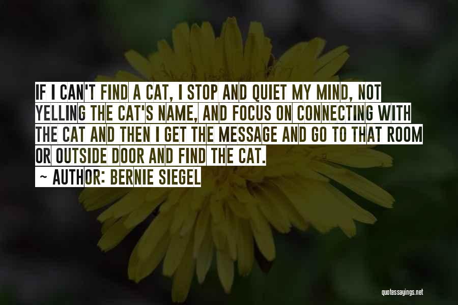 Bernie Siegel Quotes: If I Can't Find A Cat, I Stop And Quiet My Mind, Not Yelling The Cat's Name, And Focus On