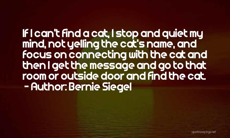 Bernie Siegel Quotes: If I Can't Find A Cat, I Stop And Quiet My Mind, Not Yelling The Cat's Name, And Focus On