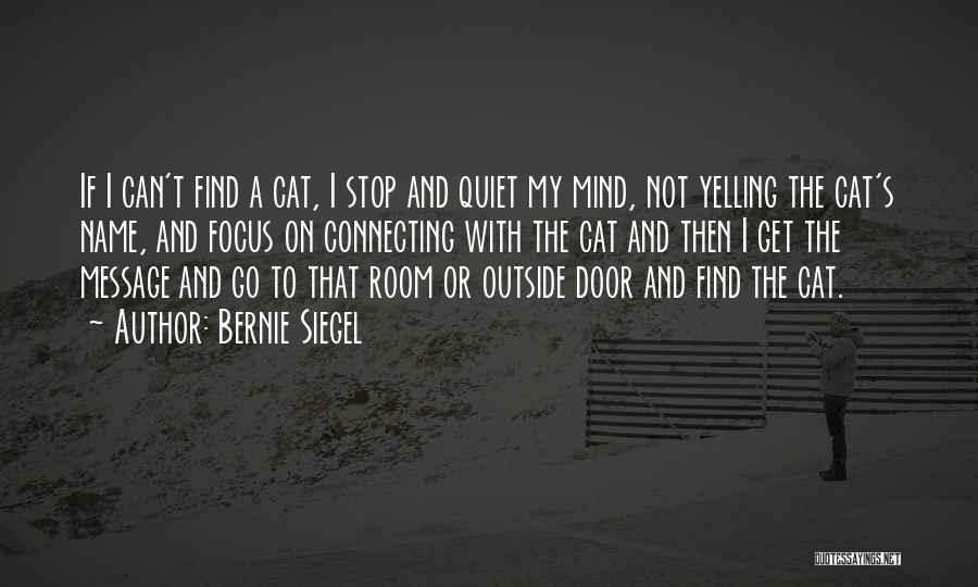 Bernie Siegel Quotes: If I Can't Find A Cat, I Stop And Quiet My Mind, Not Yelling The Cat's Name, And Focus On