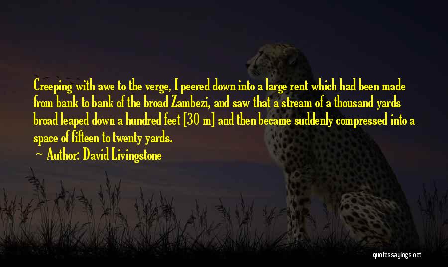 David Livingstone Quotes: Creeping With Awe To The Verge, I Peered Down Into A Large Rent Which Had Been Made From Bank To