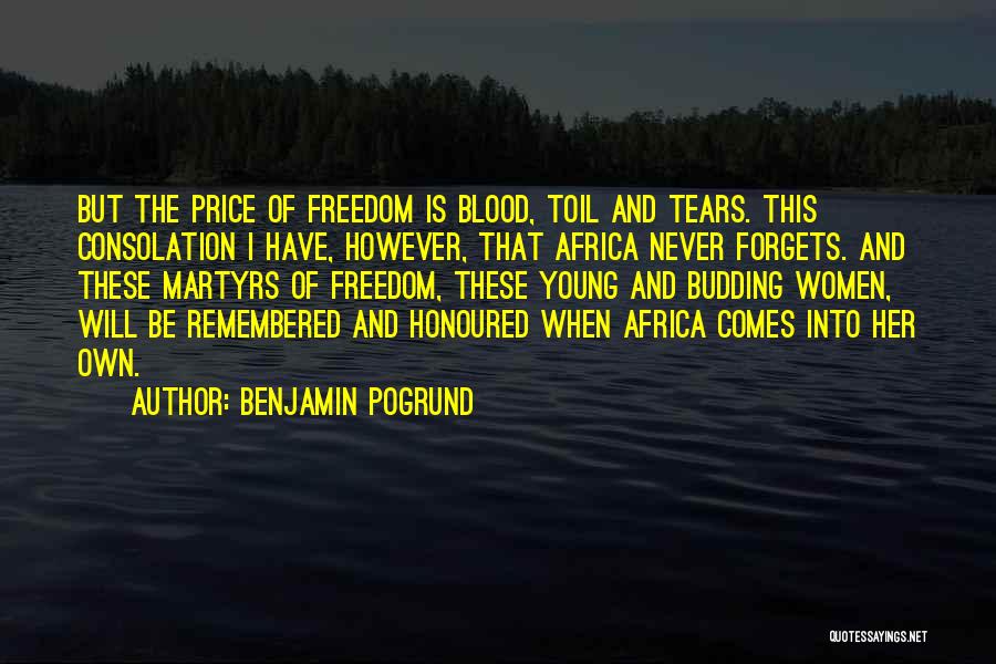 Benjamin Pogrund Quotes: But The Price Of Freedom Is Blood, Toil And Tears. This Consolation I Have, However, That Africa Never Forgets. And