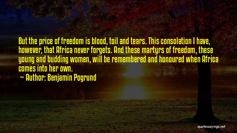 Benjamin Pogrund Quotes: But The Price Of Freedom Is Blood, Toil And Tears. This Consolation I Have, However, That Africa Never Forgets. And