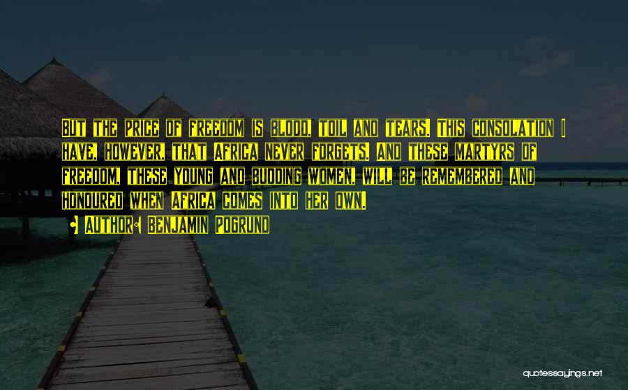 Benjamin Pogrund Quotes: But The Price Of Freedom Is Blood, Toil And Tears. This Consolation I Have, However, That Africa Never Forgets. And