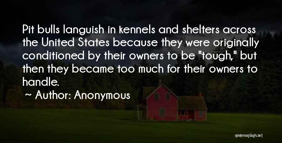Anonymous Quotes: Pit Bulls Languish In Kennels And Shelters Across The United States Because They Were Originally Conditioned By Their Owners To