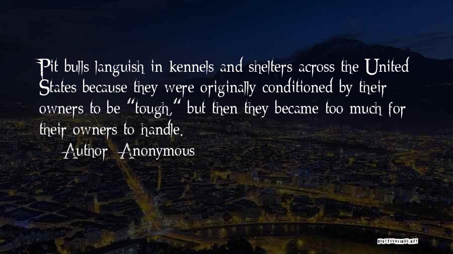 Anonymous Quotes: Pit Bulls Languish In Kennels And Shelters Across The United States Because They Were Originally Conditioned By Their Owners To