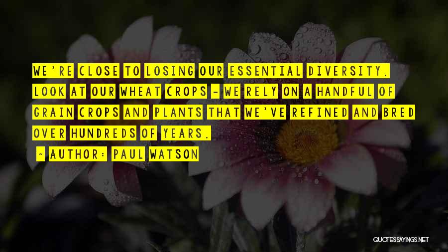 Paul Watson Quotes: We're Close To Losing Our Essential Diversity. Look At Our Wheat Crops - We Rely On A Handful Of Grain