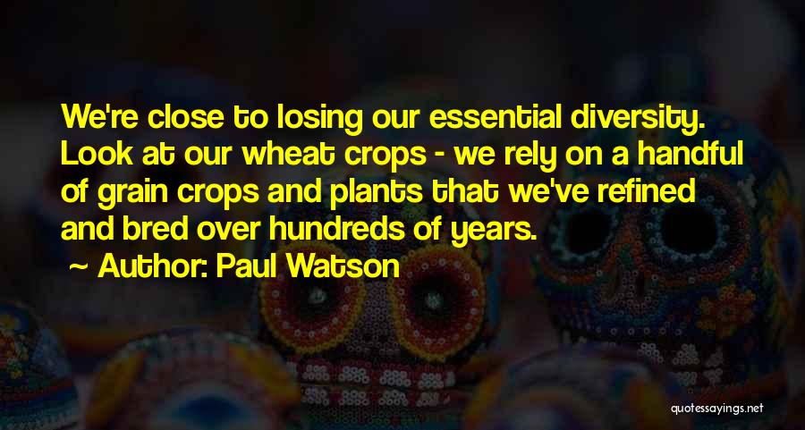 Paul Watson Quotes: We're Close To Losing Our Essential Diversity. Look At Our Wheat Crops - We Rely On A Handful Of Grain