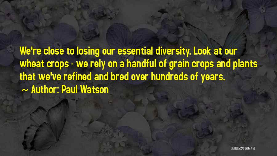 Paul Watson Quotes: We're Close To Losing Our Essential Diversity. Look At Our Wheat Crops - We Rely On A Handful Of Grain