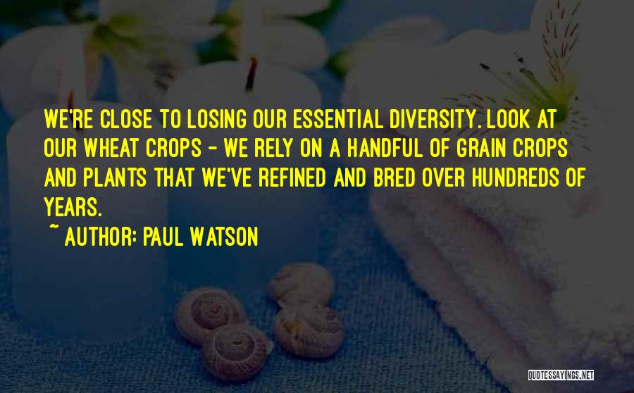 Paul Watson Quotes: We're Close To Losing Our Essential Diversity. Look At Our Wheat Crops - We Rely On A Handful Of Grain