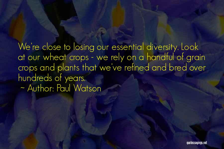 Paul Watson Quotes: We're Close To Losing Our Essential Diversity. Look At Our Wheat Crops - We Rely On A Handful Of Grain