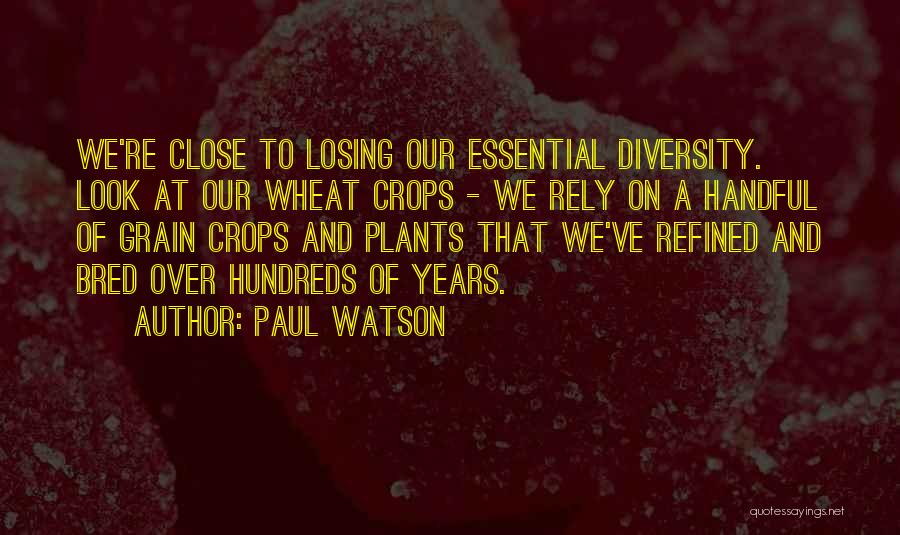 Paul Watson Quotes: We're Close To Losing Our Essential Diversity. Look At Our Wheat Crops - We Rely On A Handful Of Grain