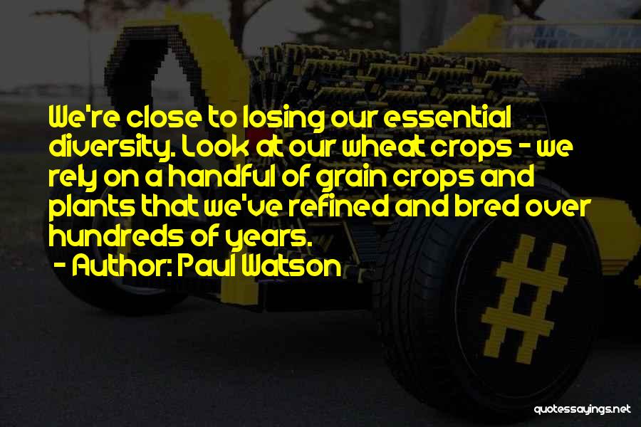 Paul Watson Quotes: We're Close To Losing Our Essential Diversity. Look At Our Wheat Crops - We Rely On A Handful Of Grain