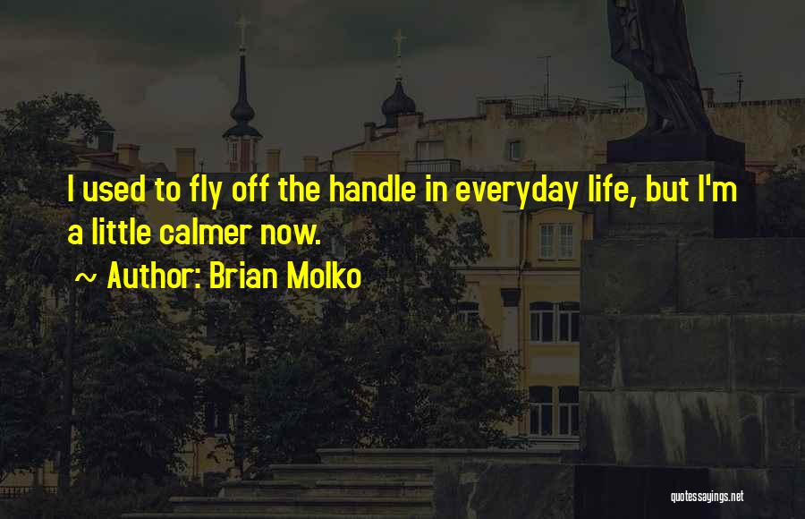 Brian Molko Quotes: I Used To Fly Off The Handle In Everyday Life, But I'm A Little Calmer Now.