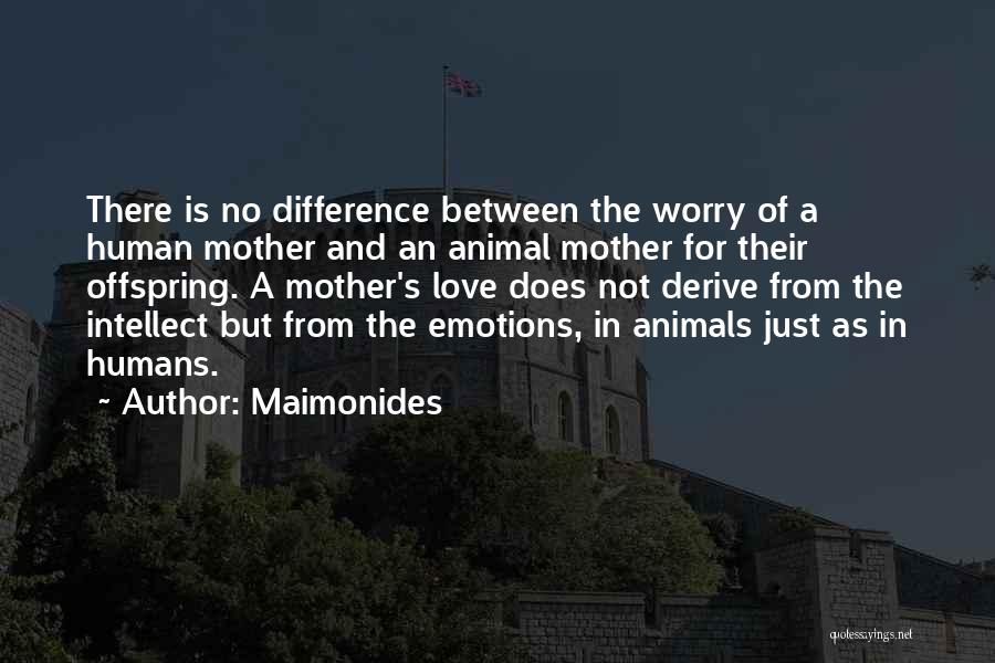 Maimonides Quotes: There Is No Difference Between The Worry Of A Human Mother And An Animal Mother For Their Offspring. A Mother's