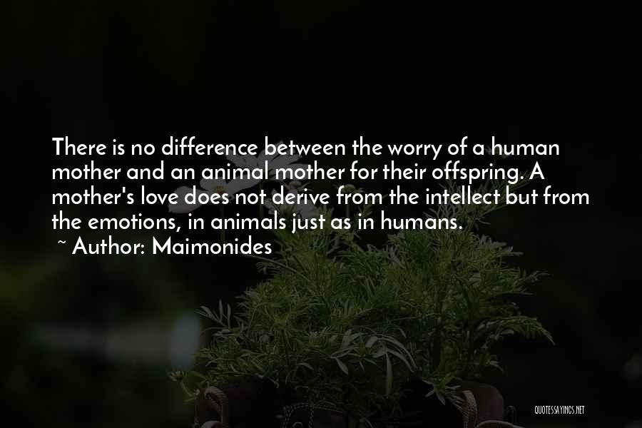 Maimonides Quotes: There Is No Difference Between The Worry Of A Human Mother And An Animal Mother For Their Offspring. A Mother's