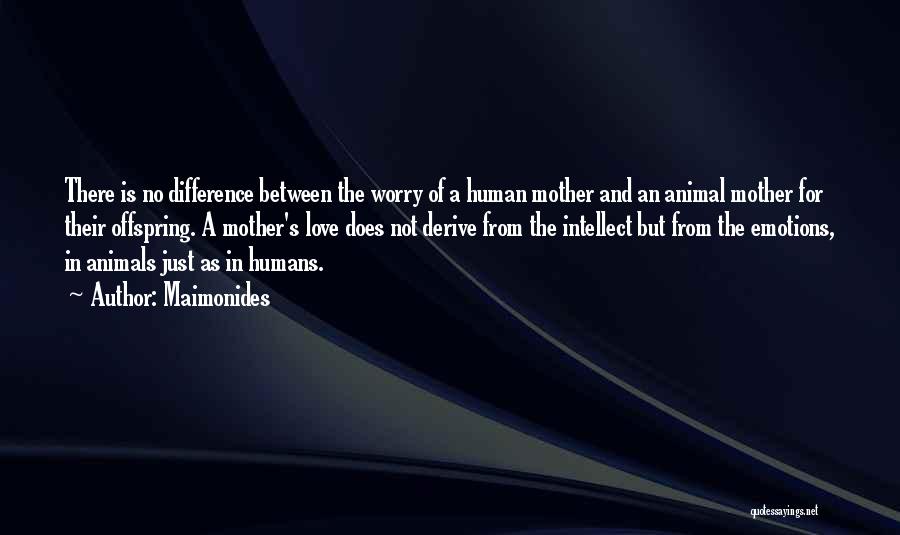 Maimonides Quotes: There Is No Difference Between The Worry Of A Human Mother And An Animal Mother For Their Offspring. A Mother's
