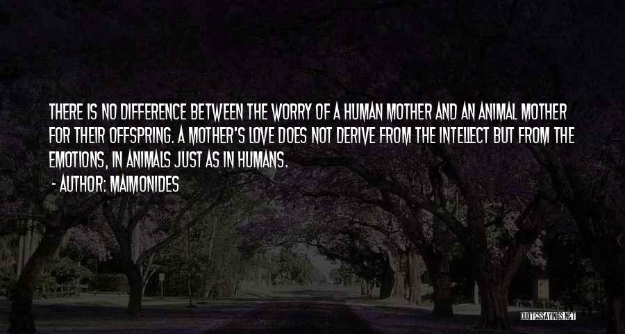 Maimonides Quotes: There Is No Difference Between The Worry Of A Human Mother And An Animal Mother For Their Offspring. A Mother's