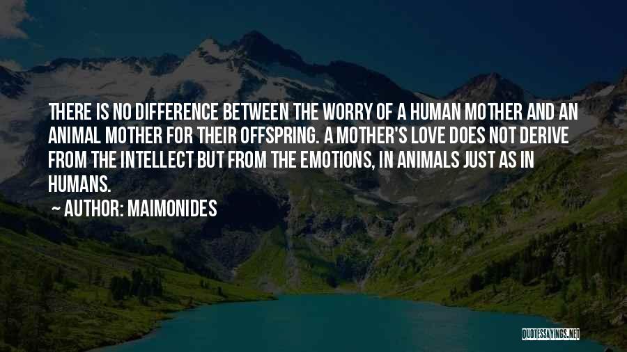 Maimonides Quotes: There Is No Difference Between The Worry Of A Human Mother And An Animal Mother For Their Offspring. A Mother's