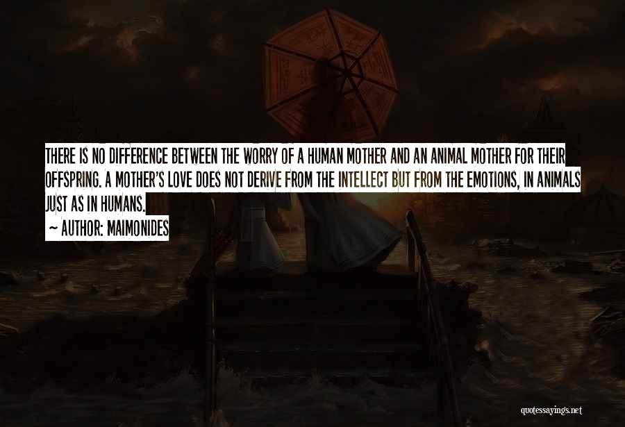 Maimonides Quotes: There Is No Difference Between The Worry Of A Human Mother And An Animal Mother For Their Offspring. A Mother's