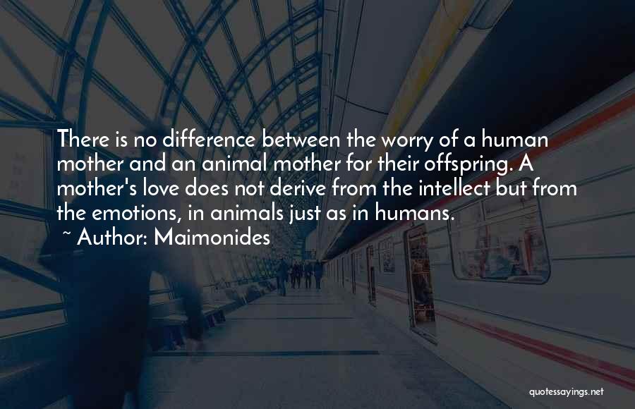 Maimonides Quotes: There Is No Difference Between The Worry Of A Human Mother And An Animal Mother For Their Offspring. A Mother's