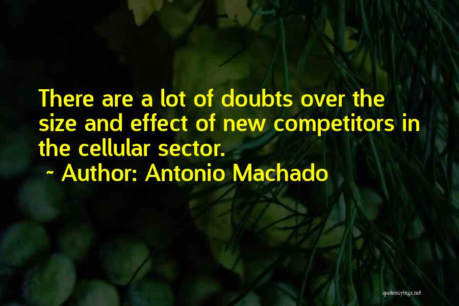 Antonio Machado Quotes: There Are A Lot Of Doubts Over The Size And Effect Of New Competitors In The Cellular Sector.