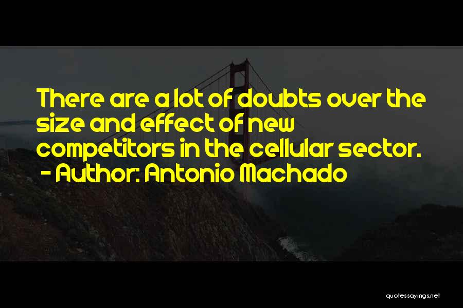 Antonio Machado Quotes: There Are A Lot Of Doubts Over The Size And Effect Of New Competitors In The Cellular Sector.