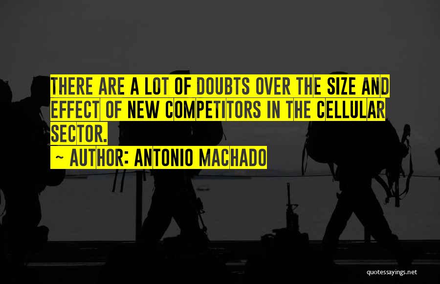 Antonio Machado Quotes: There Are A Lot Of Doubts Over The Size And Effect Of New Competitors In The Cellular Sector.