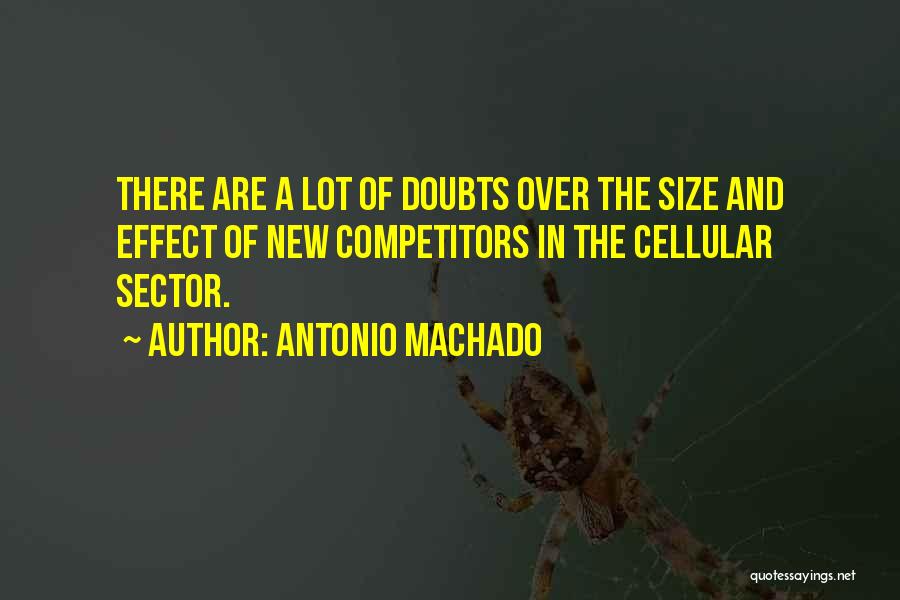 Antonio Machado Quotes: There Are A Lot Of Doubts Over The Size And Effect Of New Competitors In The Cellular Sector.