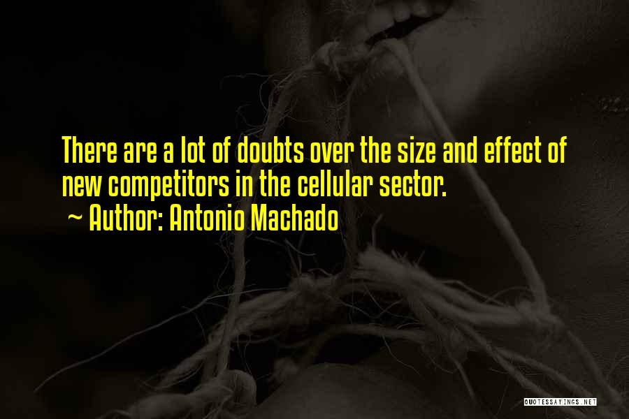 Antonio Machado Quotes: There Are A Lot Of Doubts Over The Size And Effect Of New Competitors In The Cellular Sector.