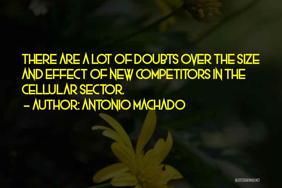 Antonio Machado Quotes: There Are A Lot Of Doubts Over The Size And Effect Of New Competitors In The Cellular Sector.