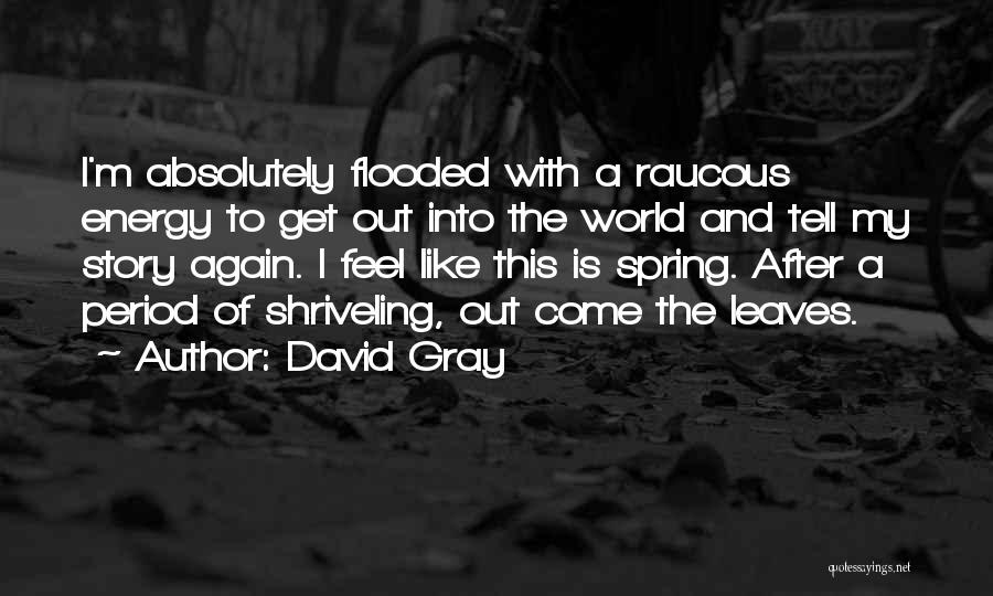 David Gray Quotes: I'm Absolutely Flooded With A Raucous Energy To Get Out Into The World And Tell My Story Again. I Feel