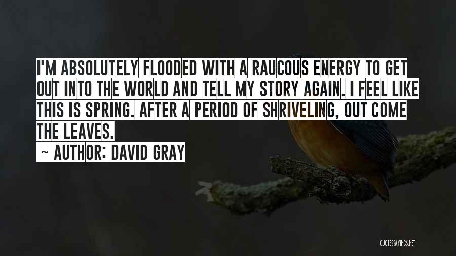 David Gray Quotes: I'm Absolutely Flooded With A Raucous Energy To Get Out Into The World And Tell My Story Again. I Feel